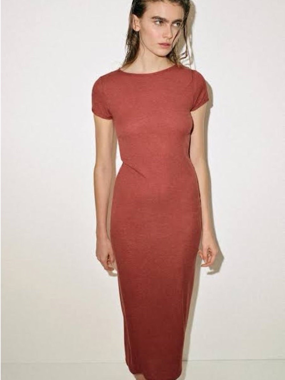 Women’s Rust Tee  Zara Dress NWT